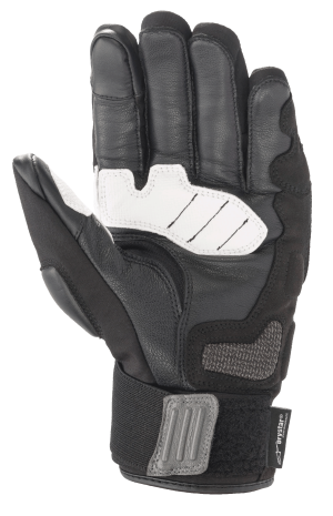 Corozal V2 Drystar? Glove